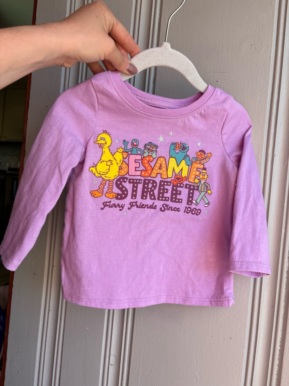 12m Sesame Street Long Sleeve Purple Tshirt Big Bird & Friends